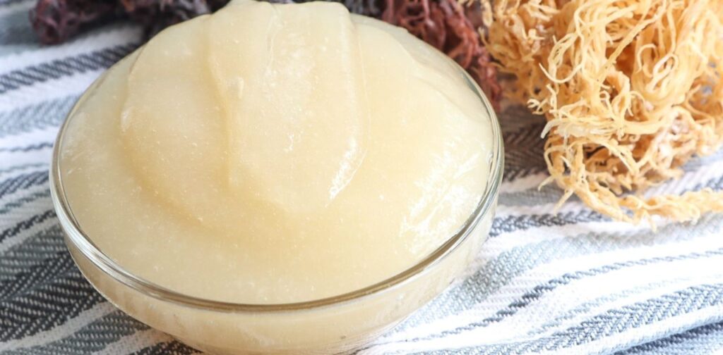 Freezing Sea Moss Gel: Benefits and Considerations