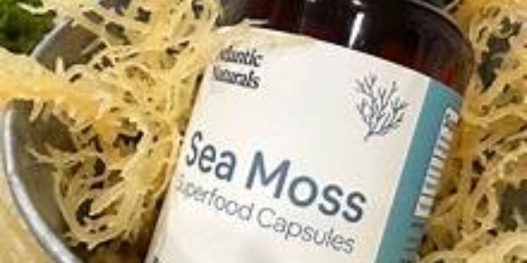  Sea Moss and Arthritis