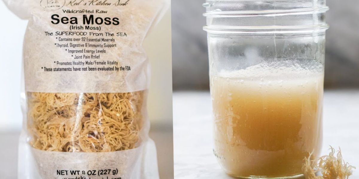 Is Sea Moss Good for Arthritis