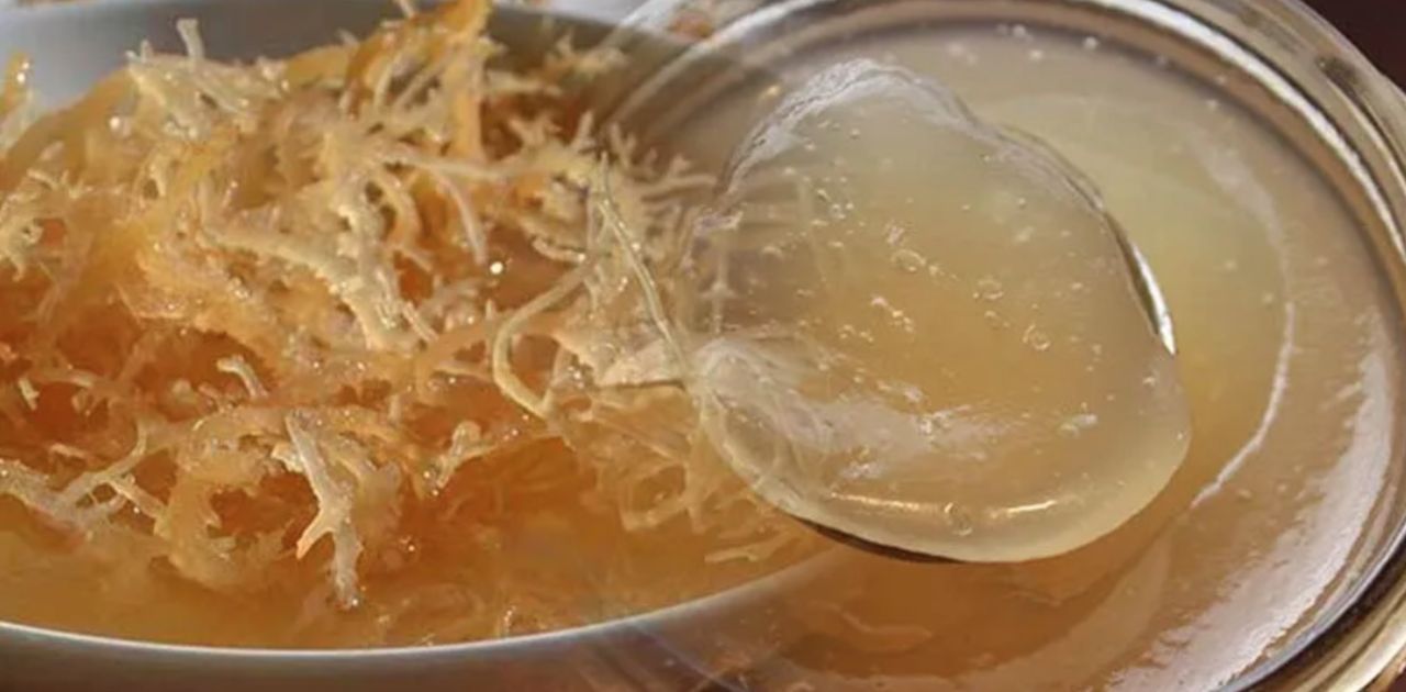 Can I Freeze Sea Moss Gel?